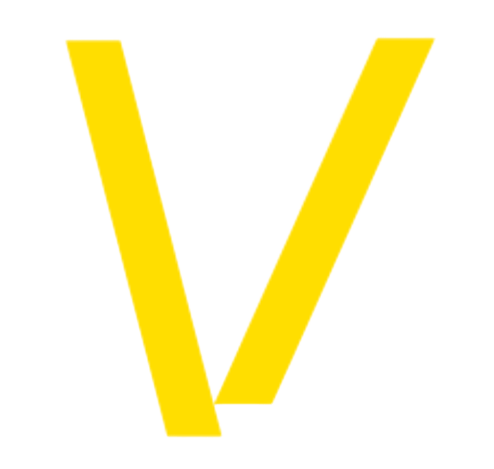 Vizyons